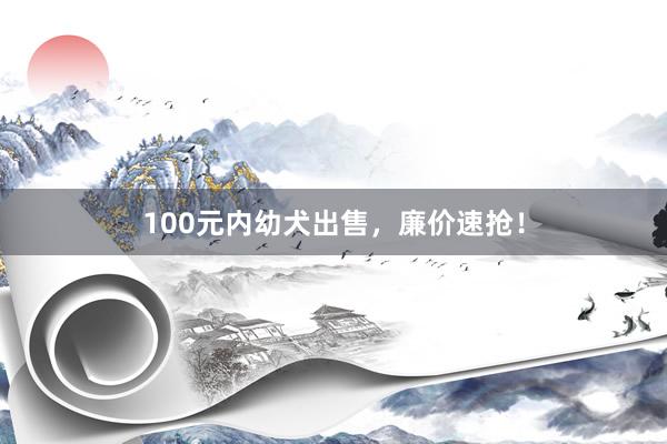 100元内幼犬出售，廉价速抢！